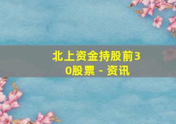 北上资金持股前30股票 - 资讯